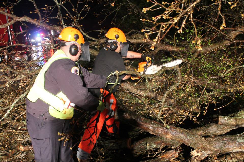 Downed Branches